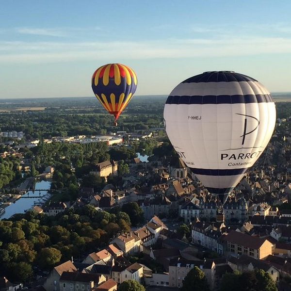 parrot-eclosion-dessus-dole-268465